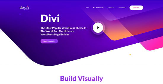 Divi Website